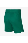 BERMUDA NIKE DRI-FIT EPIC MASCULINA - Verde