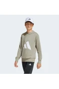 BLUSÃO ADIDAS BIG LOGO ES C/CAPUZ INFANTIL - Verde/branco