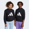 BLUSÃO ADIDAS ESS BIG LOGO CAPUZ INFANTIL - Preto/branco BLUSÃO ADIDAS ESS BIG LOGO CAPUZ INFANTIL - Preto/branco
