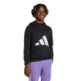 BLUSÃO ADIDAS ESS BIG LOGO CAPUZ INFANTIL - Preto/branco BLUSÃO ADIDAS ESS BIG LOGO CAPUZ INFANTIL - Preto/branco