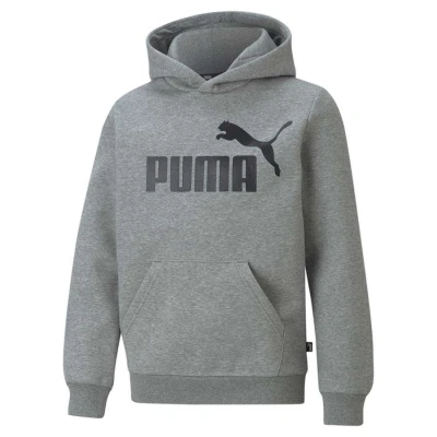 BLUSÃO PUMA ESS BIG LOGO HOODIE FL INFANTIL - Cinza