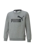BLUSÃO PUMA JUVENIL MOLETOM BIG LOGO INFANTIL - Cinza
