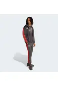 CALÇA ADIDAS AUDI REVOLUT F1 TEAM DNA MASCULINA - Chumbo/vermelho