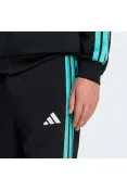 CALÇA ADIDAS MERCEDES - AMG PETRONAS F1 TEAM DNA - Preto/verde CALÇA ADIDAS MERCEDES - AMG PETRONAS F1 TEAM DNA - Preto/verde