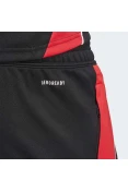 CALÇA TREINO ADIDAS TIRO 24 MASCULINA - Preto/vermelho CALÇA TREINO ADIDAS TIRO 24 MASCULINA - Preto/vermelho