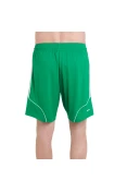 CALÇÃO ADIDAS SQUADRA 13 MASCULINO - Verde/branco