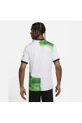 CAMISA NIKE LIVERPOOL OF II 2023/24 TORCEDOR PRO MASCULINA - Branco/verde