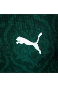 CAMISA PALMEIRAS OFICIAL I PUMA 2020/21 S/Nº - Verde