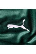 CAMISA PUMA PALMEIRAS OFICIAL I 2022 S/Nº - Verde/branco