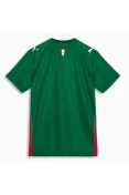 CAMISA PUMA PALMEIRAS OFICIAL I 26/27 TORCEDOR INFANTIL - Verde/branco CAMISA PUMA PALMEIRAS OFICIAL I 26/27 TORCEDOR INFANTIL - Verde/branco