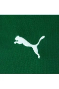 CAMISA PUMA PALMEIRAS OFICIAL I 26/27 TORCEDOR INFANTIL - Verde/branco CAMISA PUMA PALMEIRAS OFICIAL I 26/27 TORCEDOR INFANTIL - Verde/branco