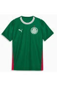 CAMISA PUMA PALMEIRAS OFICIAL I 26/27 TORCEDOR INFANTIL - Verde/branco CAMISA PUMA PALMEIRAS OFICIAL I 26/27 TORCEDOR INFANTIL - Verde/branco