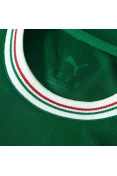 CAMISA PUMA PALMEIRAS OFICIAL I 26/27 TORCEDOR INFANTIL - Verde/branco CAMISA PUMA PALMEIRAS OFICIAL I 26/27 TORCEDOR INFANTIL - Verde/branco