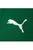 CAMISA PUMA PALMEIRAS OFICIAL I 26/27 TORCEDOR MASCULINA - Verde/branco