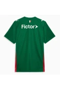 CAMISA PUMA PALMEIRAS OFICIAL I 26/27 TORCEDOR MASCULINA - Verde/branco