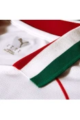 CAMISA PUMA PALMEIRAS OFICIAL II 26/27 TORCEDOR MASCULINA - Branco/verde