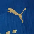 CAMISA PUMA PALMEIRAS OFICIAL III 26/27 TORCEDOR MASCULINO - Azul CAMISA PUMA PALMEIRAS OFICIAL III 26/27 TORCEDOR MASCULINO - Azul