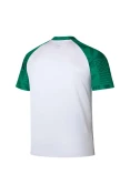 CAMISA PUMA PALMEIRAS PRÉ-JOGO 2023 MASCULINA - Branco/verde CAMISA PUMA PALMEIRAS PRÉ-JOGO 2023 MASCULINA - Branco/verde
