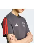 CAMISETA ADIDAS AUDI REVOLUT F1 TEAM DNA - Chumbo