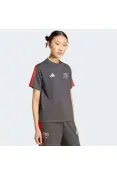 CAMISETA ADIDAS AUDI REVOLUT F1 TEAM DNA - Chumbo