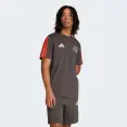 CAMISETA ADIDAS AUDI REVOLUT F1 TEAM DNA MASCULINA - Chumbo CAMISETA ADIDAS AUDI REVOLUT F1 TEAM DNA MASCULINA - Chumbo