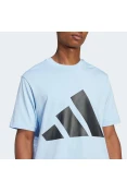 CAMISETA ADIDAS BIG LOGO SJ MASCULINA - Azul celeste CAMISETA ADIDAS BIG LOGO SJ MASCULINA - Azul celeste