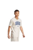 CAMISETA ADIDAS COLLEGIATE LINEAGE MASCULINA - Cinza