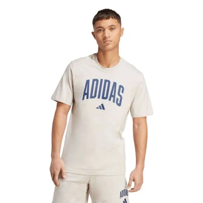 CAMISETA ADIDAS COLLEGIATE LINEAGE MASCULINA - Cinza