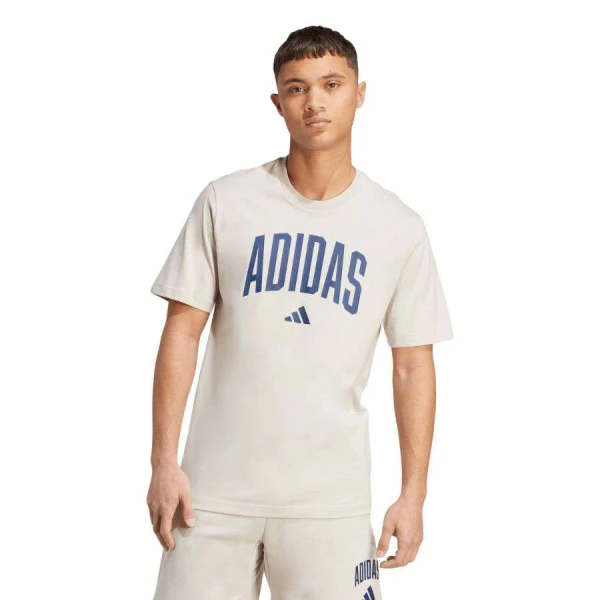 CAMISETA ADIDAS COLLEGIATE LINEAGE MASCULINA - Cinza