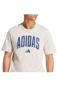 CAMISETA ADIDAS COLLEGIATE LINEAGE MASCULINA - Cinza