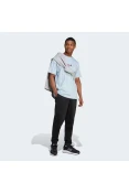CAMISETA ADIDAS GRAPHIC POSITIVE T MASCULINA - Azul CAMISETA ADIDAS GRAPHIC POSITIVE T MASCULINA - Azul
