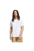 CAMISETA ADIDAS TERREX MOUNTAIN MASCULINA - Branco