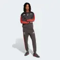 JAQUETA ADIDAS AUDI REVOLUT DNA F1 TEAM MASCULINA - Chumbo/vermelho