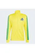 JAQUETA ADIDAS BRASIL COPA DO MUNDO 2026 MASCULINA - Amarelo/verde
