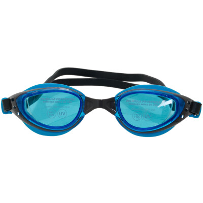 ÓCULOS SPEEDO WYNN - Azul/chumbo