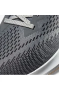TÊNIS DE CORRIDA NIKE ZOOM WINFLO 6 MASCULINO - Grafite/dourado